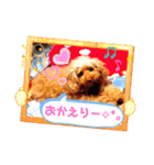 奇跡のセラピードッグ 夢歩ちゃん（個別スタンプ：8）