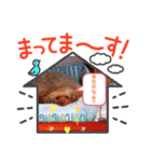 奇跡のセラピードッグ 夢歩ちゃん（個別スタンプ：9）