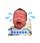 ひなりすたんぷ。1（個別スタンプ：12）