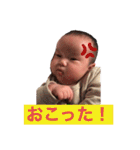 ひなりすたんぷ。1（個別スタンプ：17）