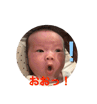ひなりすたんぷ。1（個別スタンプ：23）