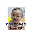 はげのすけ❹（個別スタンプ：5）