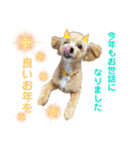 モコ蔵第二弾（個別スタンプ：4）