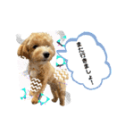モコ蔵第二弾（個別スタンプ：5）
