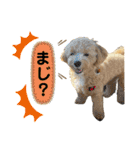 モコ蔵第二弾（個別スタンプ：9）