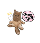 ペロタン日記 ②（個別スタンプ：4）