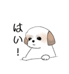 Stickers_Shih Tzu_e シーズースタンプ（個別スタンプ：2）