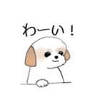 Stickers_Shih Tzu_e シーズースタンプ（個別スタンプ：6）