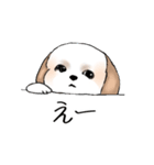 Stickers_Shih Tzu_e シーズースタンプ（個別スタンプ：17）