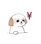 Stickers_Shih Tzu_e シーズースタンプ（個別スタンプ：21）