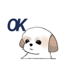 Stickers_Shih Tzu_e シーズースタンプ（個別スタンプ：25）