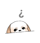 Stickers_Shih Tzu_e シーズースタンプ（個別スタンプ：26）