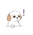 Stickers_Shih Tzu_e シーズースタンプ（個別スタンプ：27）