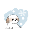 Stickers_Shih Tzu_e シーズースタンプ（個別スタンプ：32）