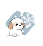 Stickers_Shih Tzu_e シーズースタンプ（個別スタンプ：33）