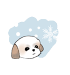 Stickers_Shih Tzu_e シーズースタンプ（個別スタンプ：34）