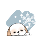 Stickers_Shih Tzu_e シーズースタンプ（個別スタンプ：35）