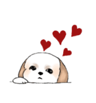 Stickers_Shih Tzu_e シーズースタンプ（個別スタンプ：39）