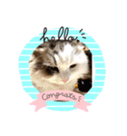 ILovecats'（個別スタンプ：2）