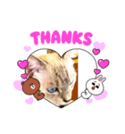 ILovecats'（個別スタンプ：6）