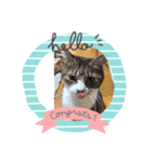 ILovecats'（個別スタンプ：7）