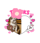 ILovecats'（個別スタンプ：8）