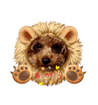 プードル犬マロン（個別スタンプ：14）