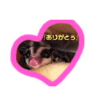 ❣️あたちシャネル❣️（個別スタンプ：2）