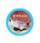❣️あたちシャネル❣️（個別スタンプ：7）