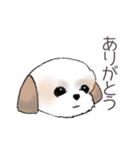 Stickers_Shih Tzu_d シーズースタンプ（個別スタンプ：3）