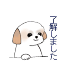 Stickers_Shih Tzu_d シーズースタンプ（個別スタンプ：6）