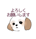 Stickers_Shih Tzu_d シーズースタンプ（個別スタンプ：8）