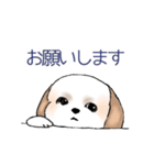 Stickers_Shih Tzu_d シーズースタンプ（個別スタンプ：10）