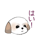 Stickers_Shih Tzu_d シーズースタンプ（個別スタンプ：15）