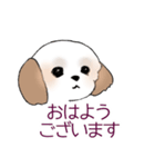 Stickers_Shih Tzu_d シーズースタンプ（個別スタンプ：16）