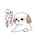 Stickers_Shih Tzu_d シーズースタンプ（個別スタンプ：17）