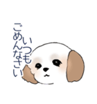 Stickers_Shih Tzu_d シーズースタンプ（個別スタンプ：20）