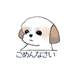 Stickers_Shih Tzu_d シーズースタンプ（個別スタンプ：21）