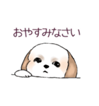 Stickers_Shih Tzu_d シーズースタンプ（個別スタンプ：22）