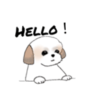 Stickers_Shih Tzu_d シーズースタンプ（個別スタンプ：23）