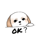 Stickers_Shih Tzu_d シーズースタンプ（個別スタンプ：24）