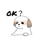 Stickers_Shih Tzu_d シーズースタンプ（個別スタンプ：27）