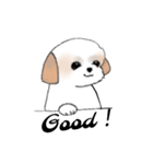 Stickers_Shih Tzu_d シーズースタンプ（個別スタンプ：28）