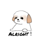 Stickers_Shih Tzu_d シーズースタンプ（個別スタンプ：29）