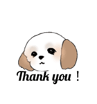 Stickers_Shih Tzu_d シーズースタンプ（個別スタンプ：30）