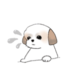 Stickers_Shih Tzu_d シーズースタンプ（個別スタンプ：36）