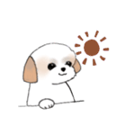 Stickers_Shih Tzu_d シーズースタンプ（個別スタンプ：37）