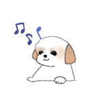 Stickers_Shih Tzu_d シーズースタンプ（個別スタンプ：38）