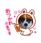 パピヨンすたんぷ3♡大人の敬語すたんぷ（個別スタンプ：15）