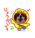 パピヨンすたんぷ3♡大人の敬語すたんぷ（個別スタンプ：22）